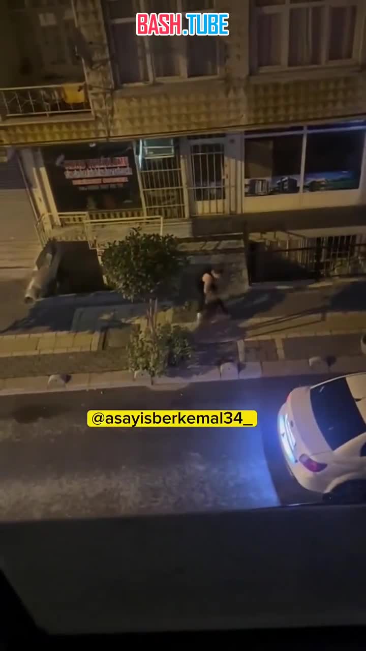  В Турции питбуль разорвал руку хозяину: мужчина умолял о помощи проезжающего водителя, но тот уехал