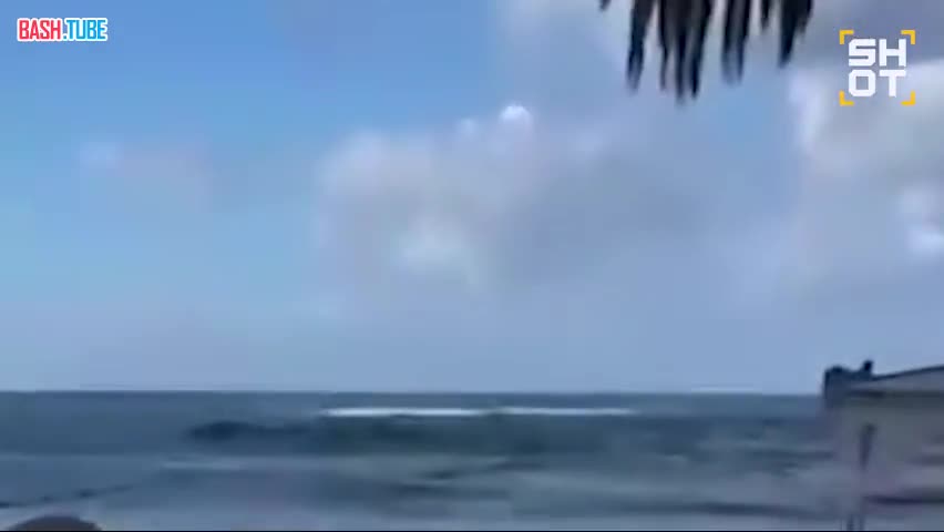  Китовая акула парализовала пляжный отдых в Израиле