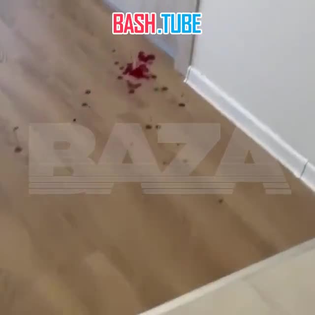  В Москве няня ошпарила ребёнка кипятком и подралась с котом, который прибежал защищать его