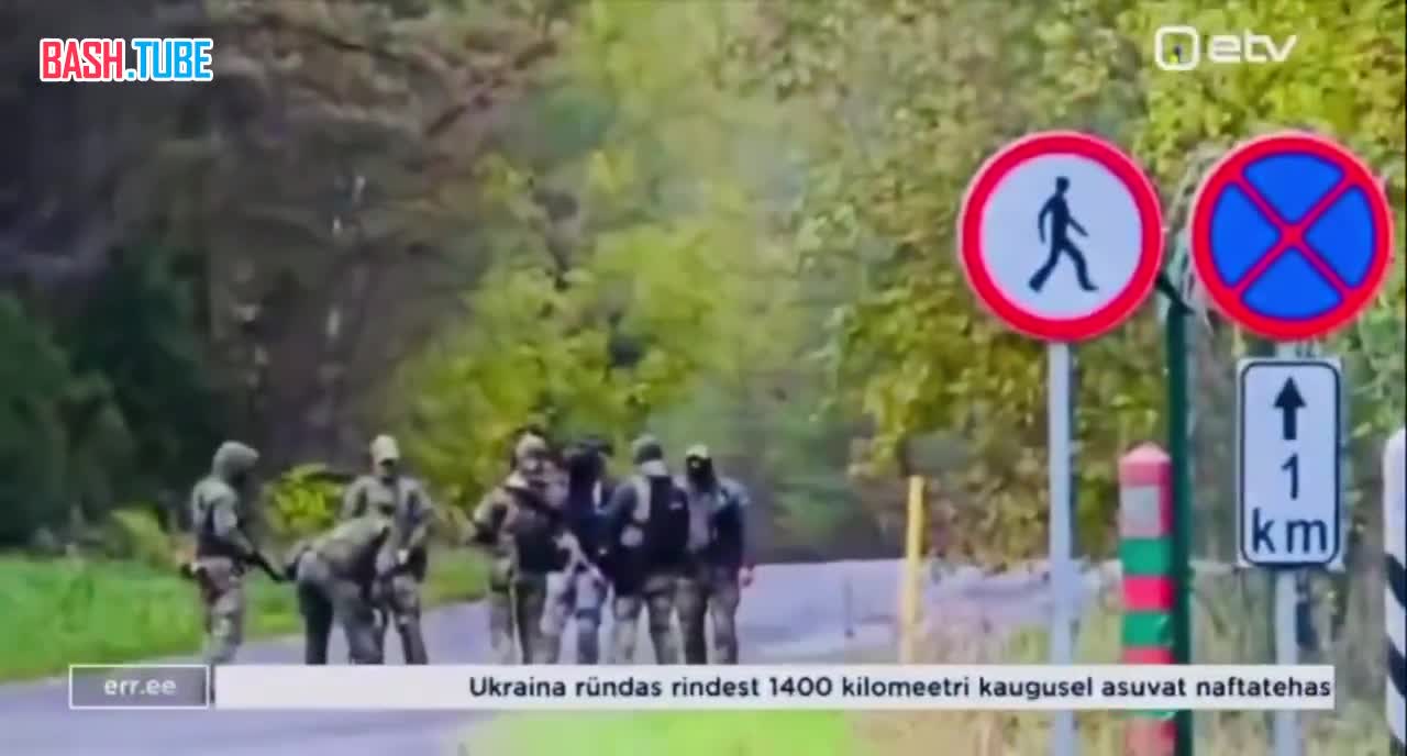  В Эстонии происходит тряска из-за российских пограничников