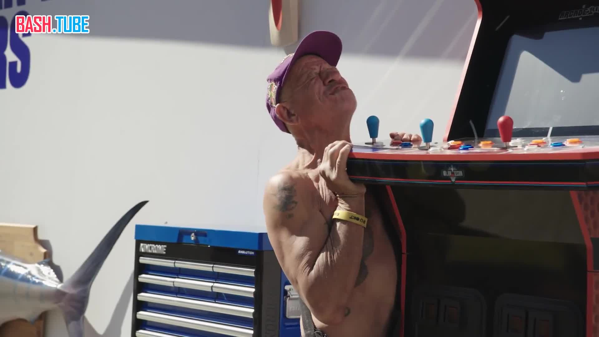  Австралийский бренд клея Selleys провёл акцию