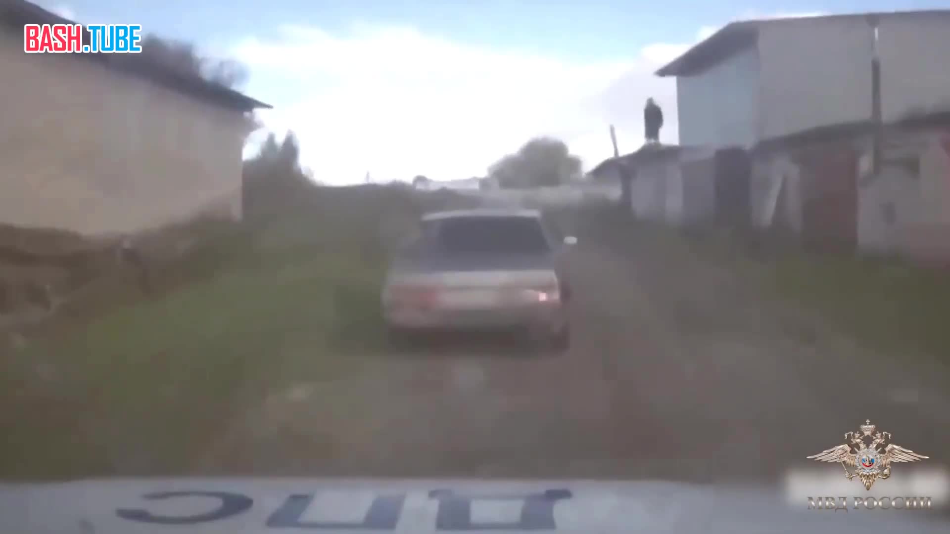  Метнул полено в ноги убегавшему от ДПС: мужчина помог поймать пьяного лихача в Вологодской области