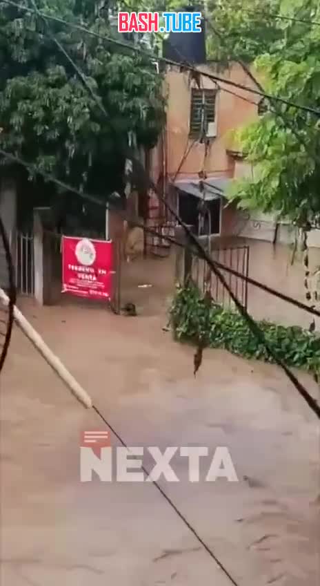  Душераздирающий момент: храбрая собака цепляется за забор, пока наводнения в Мексике уносят жизни людей и смывают целые дома