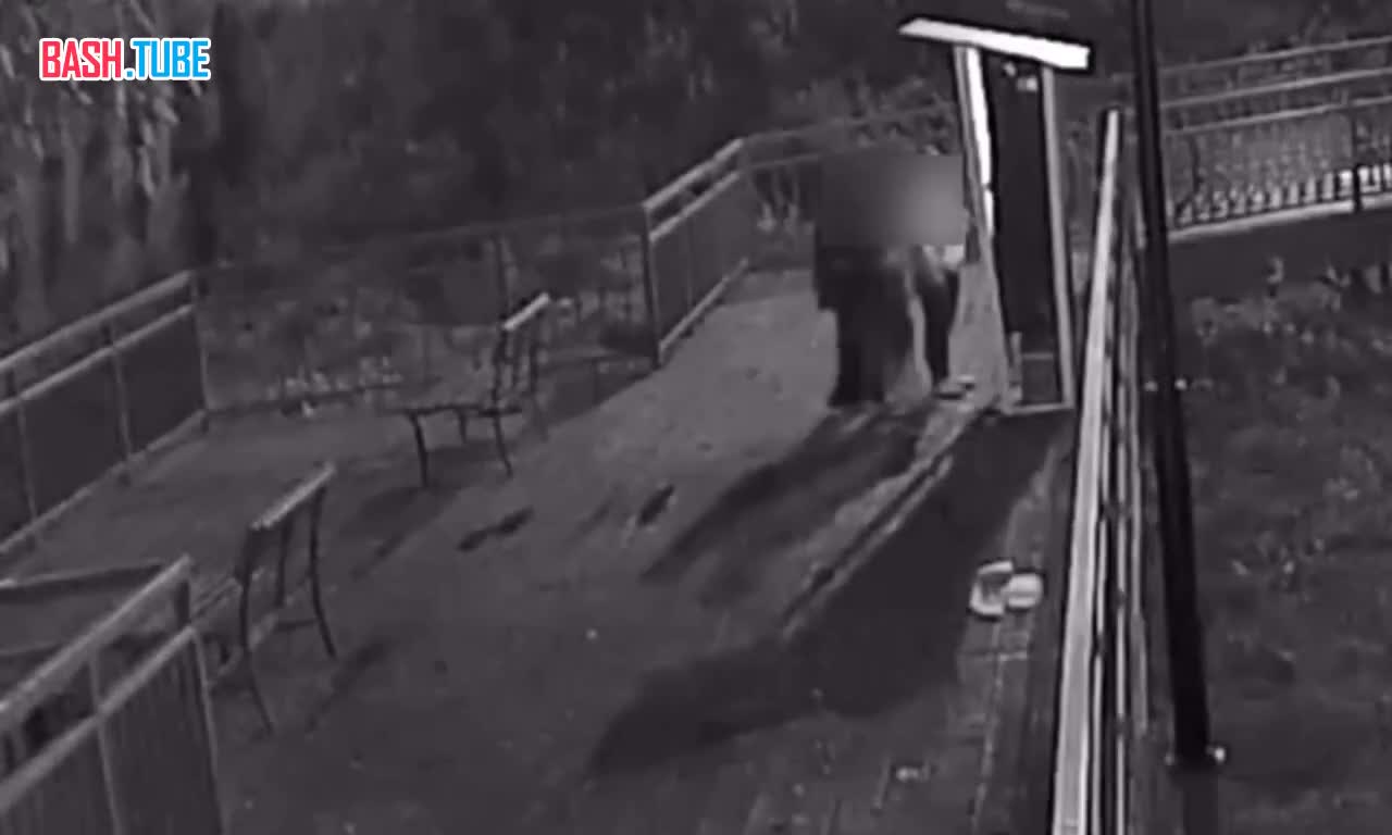  В подмосковном Хотьково компания молодых людей решила развлечься и разбила автомат с кормом для уток