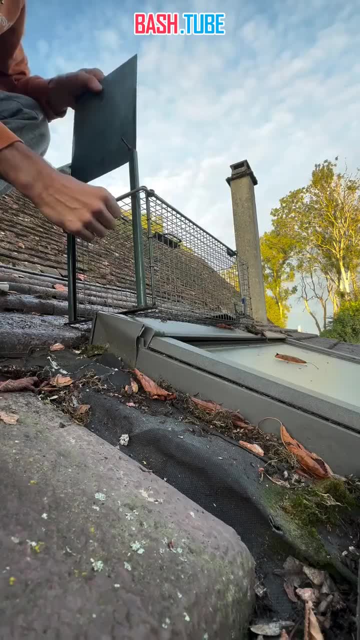  Парень поставил ловушку на крыше, чтобы поймать крысу - результат убил