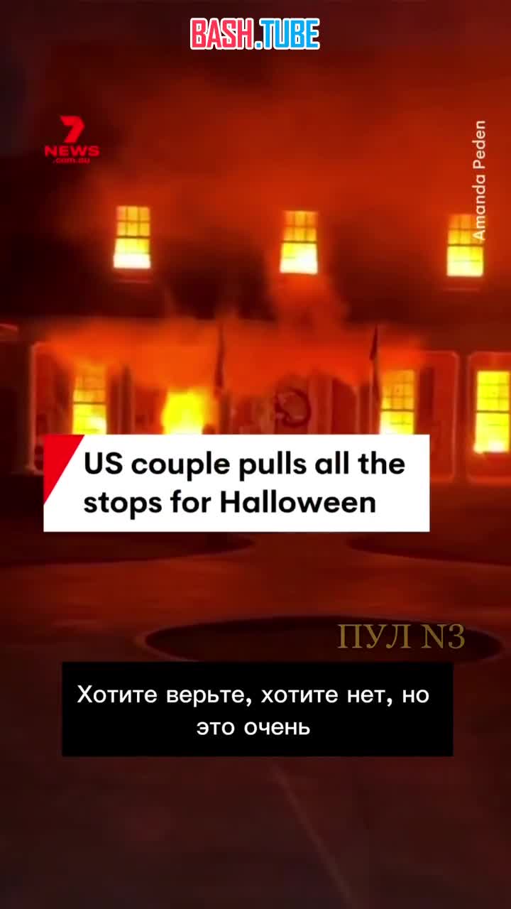  В США подготовка к Хэллоуину закончилась для семейной пары штрафом в 2 тысячи долларов