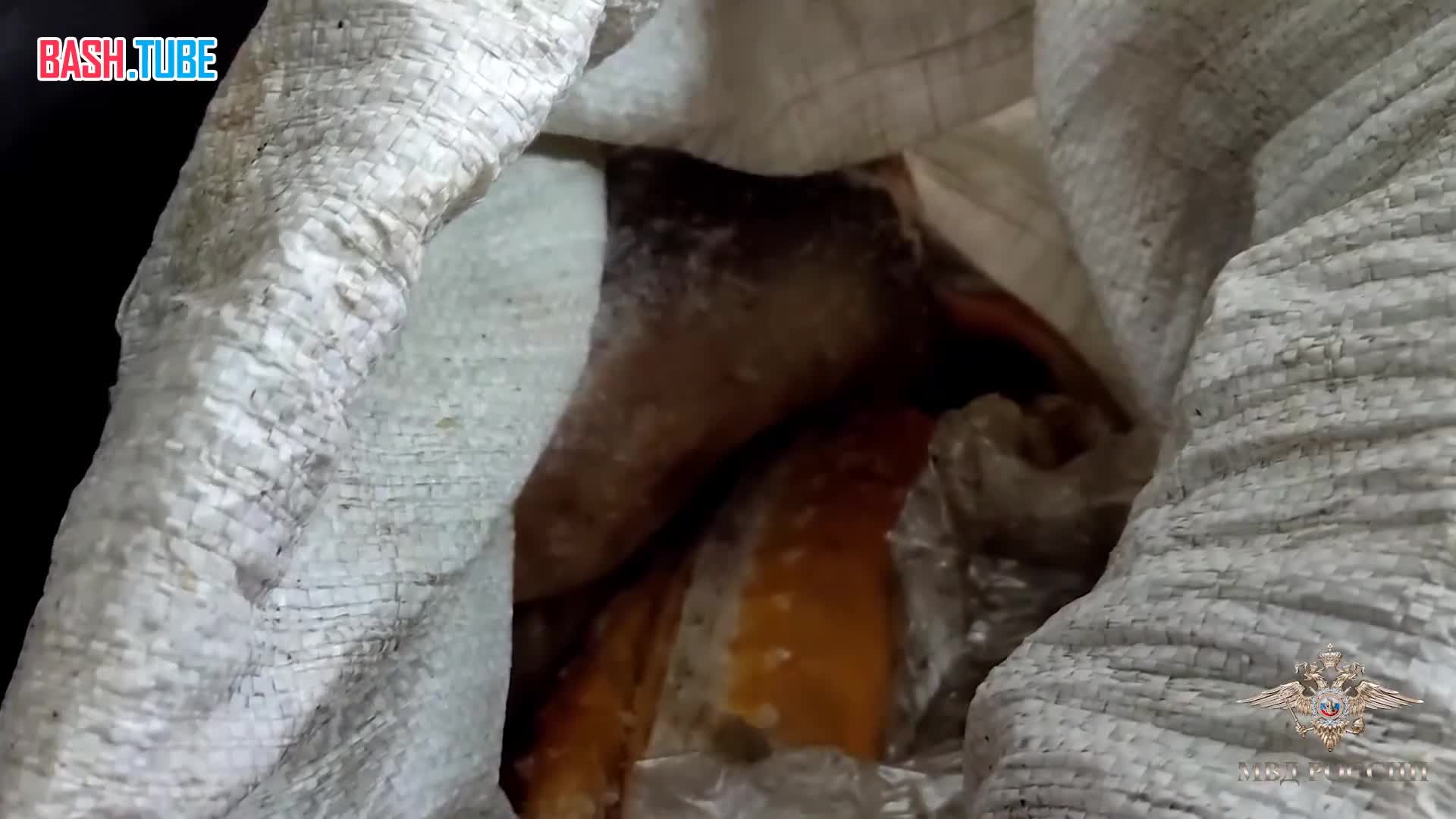  Черную икру и рыбу на 20 млн рублей нашли в багажнике у жителя Красноярского края