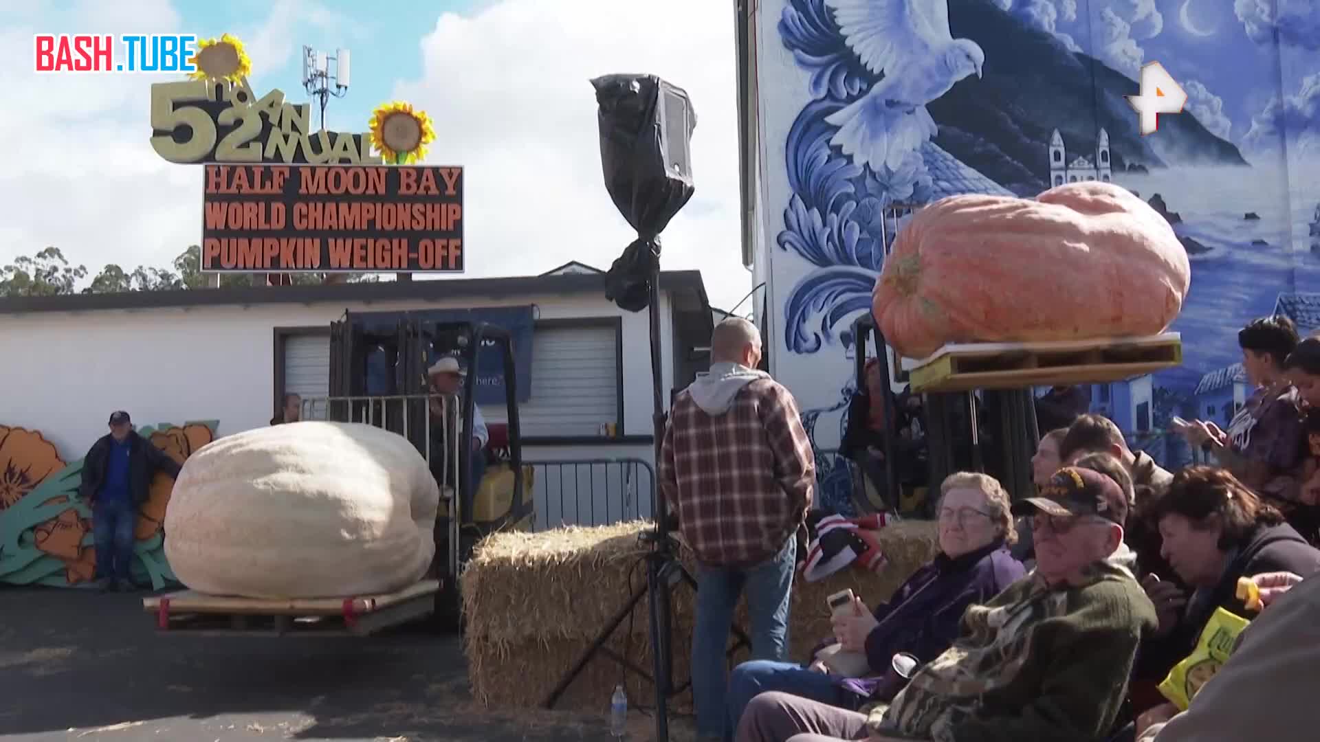  Гигантскую тыкву весом 1064 кг вырастил калифорнийский инженер