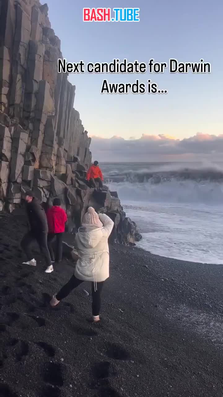  Штормовая волна смыла туристов с пляжа в Исландии
