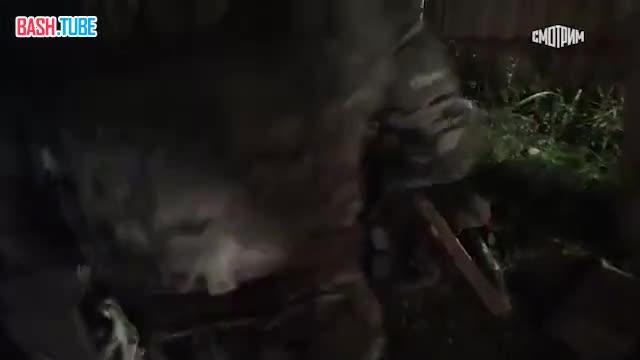  В Крыму задержали четырех террористок