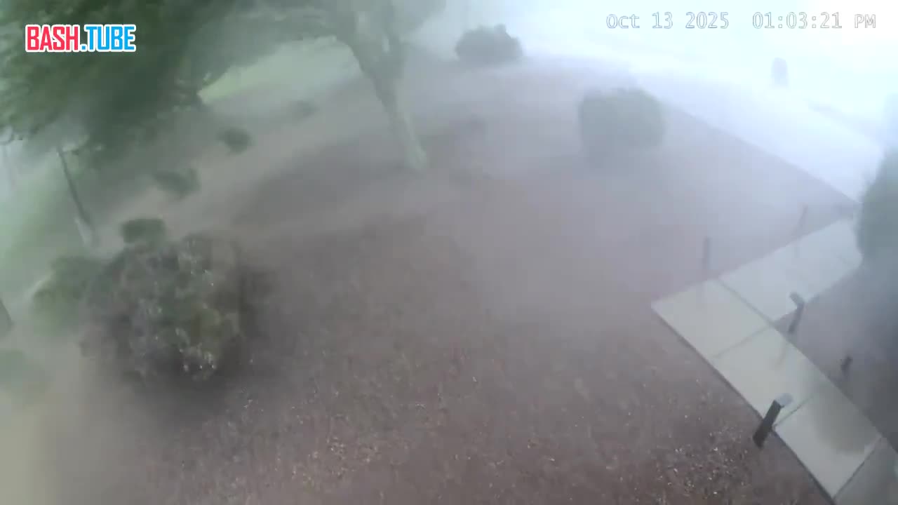  Город Темпе (население около 200 тысяч человек) в Аризоне, США остался почти без деревьев после прошедшего шторма