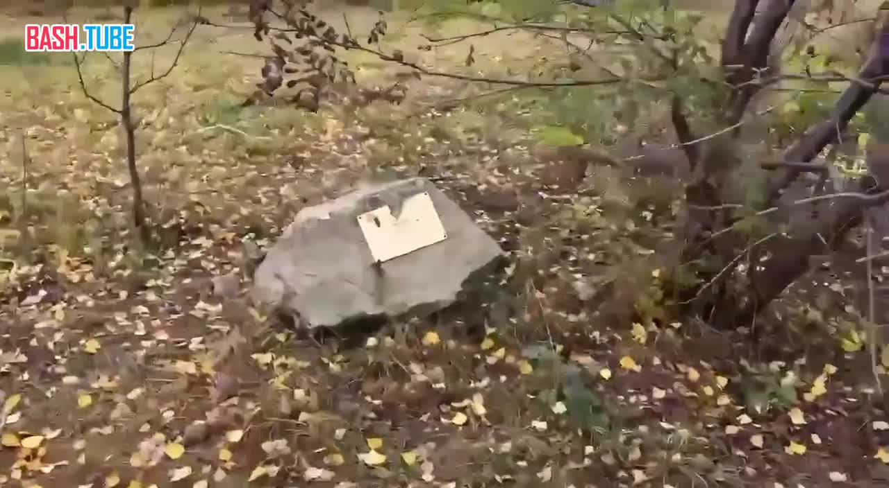  Видео встречи губернатора Самарской области Вячеслава Федорищева и главы Кинельского района Юрия Жидкова