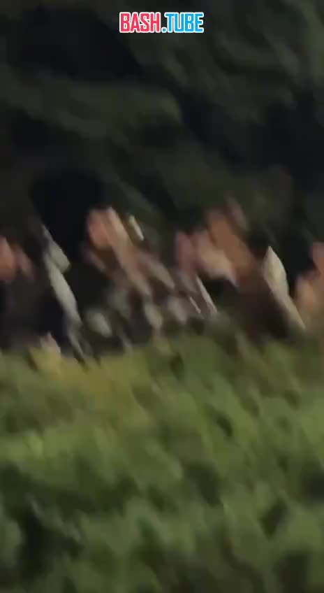  В ЛНР приезжих жестко проучили местные жители