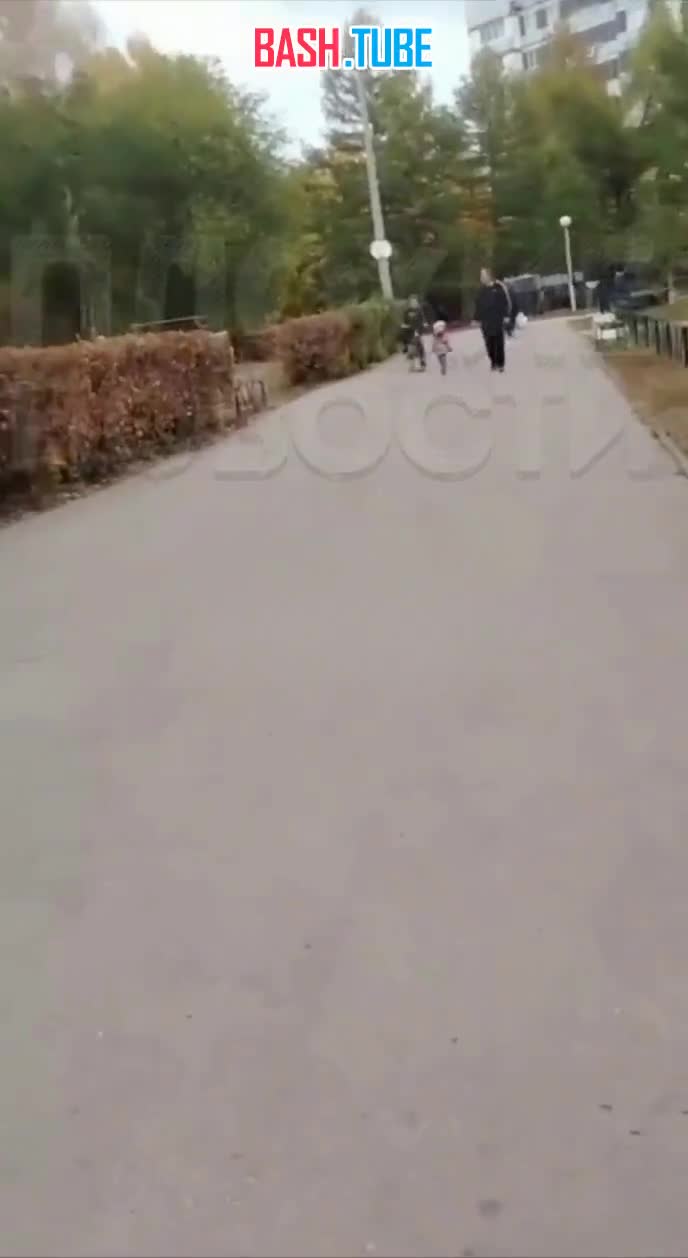  В Самарской области агрессивный отец напал на подростка-велосипедиста, задевшего его маленькую дочь