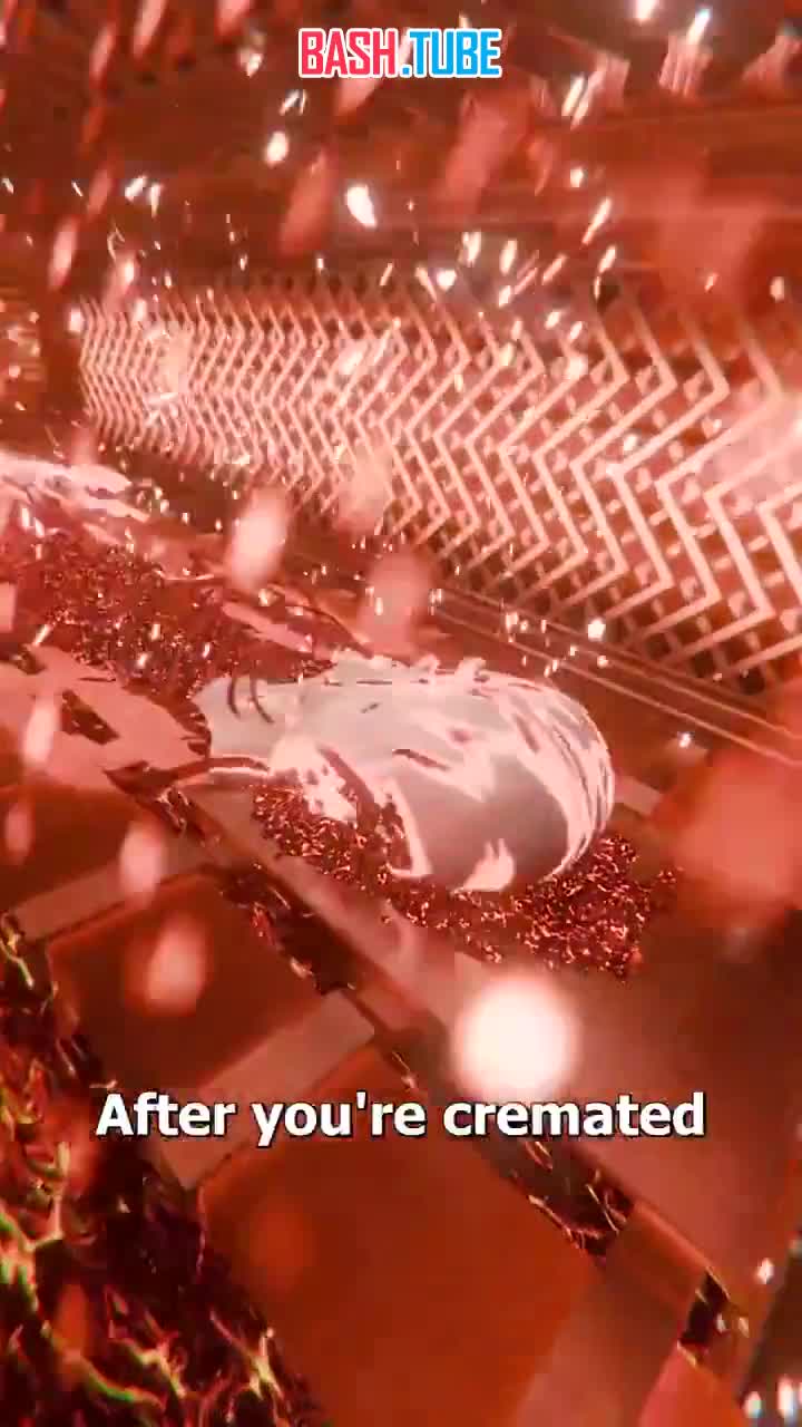  А вы знали, что после смерти вы можете стать...фейерверком