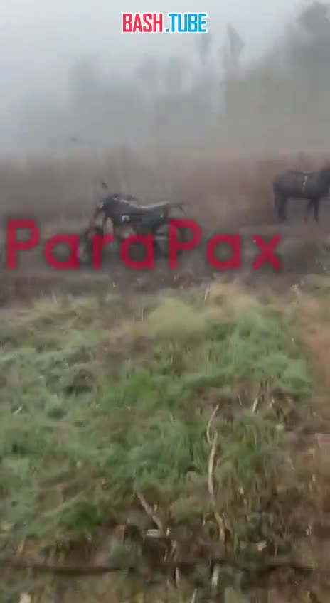  Штурмовой осел в каске