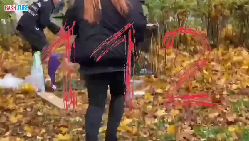  Хорошие новости: одного из сбежавших попугаев поймали в Москве