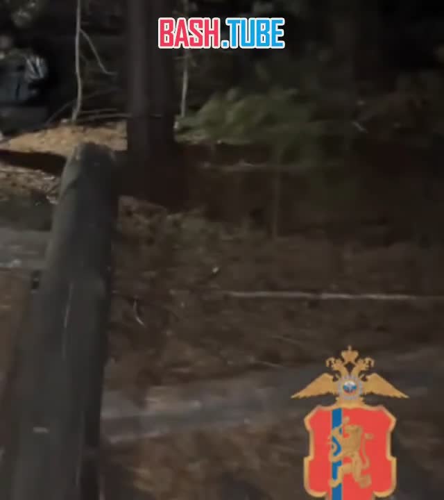  В Красноярском крае мигранты с детьми прятались от силовиков в тайге