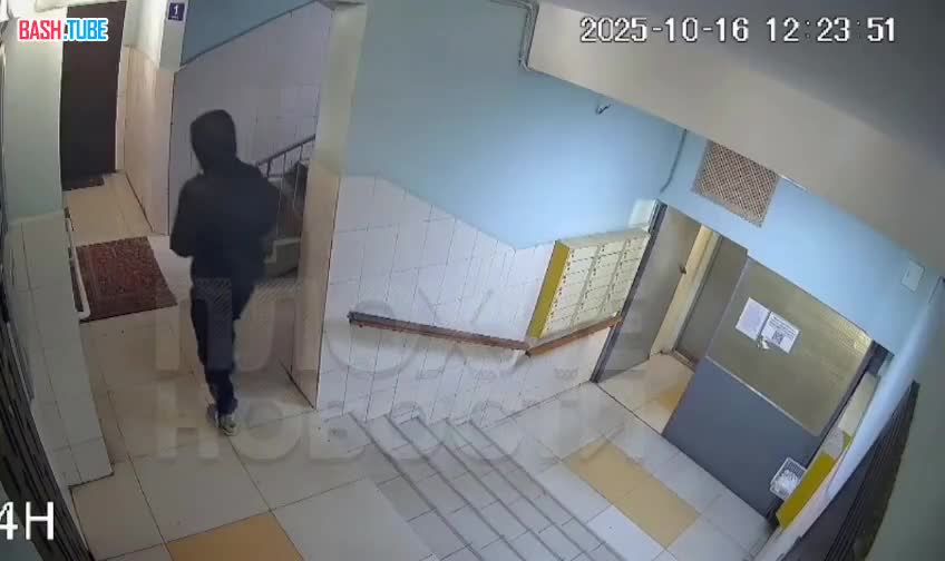  В Москве живодер после прогулки жестоко избил своих питомцев