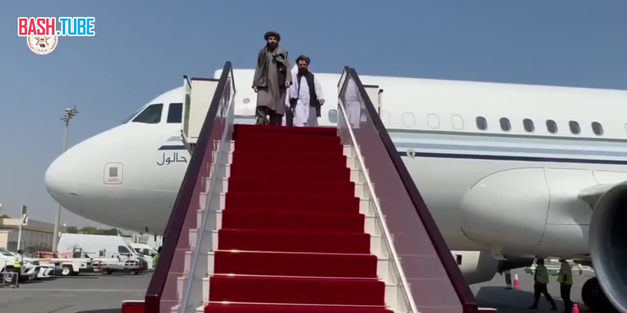  Афганская делегация прибыла в Катар для переговоров с Пакистаном о прекращении огня