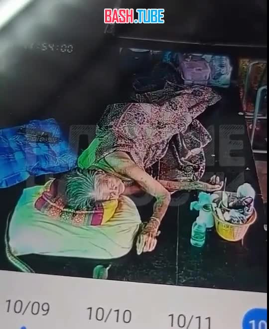  В Таиланде гигантская кобра укусила спящую 93-летнюю женщину: она в реанимации