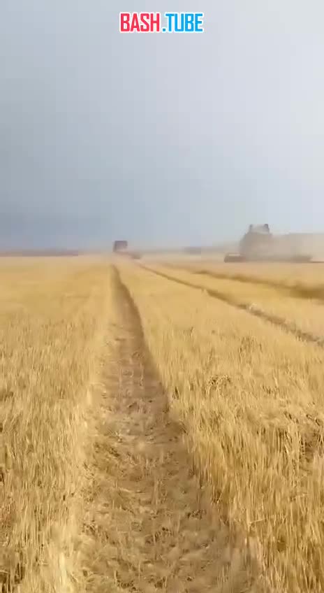  Под снегом оказалось более 400 тыс. гектаров посевных площадей в Омской области, - губернатор Хоценко