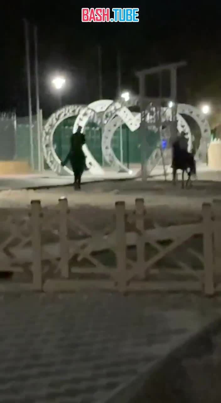  В Кисловодске всадники в масках избили пожилую пару в парке