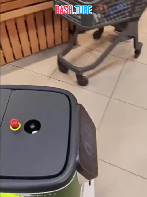  В Литве не смогли оштрафовать робота за русский язык