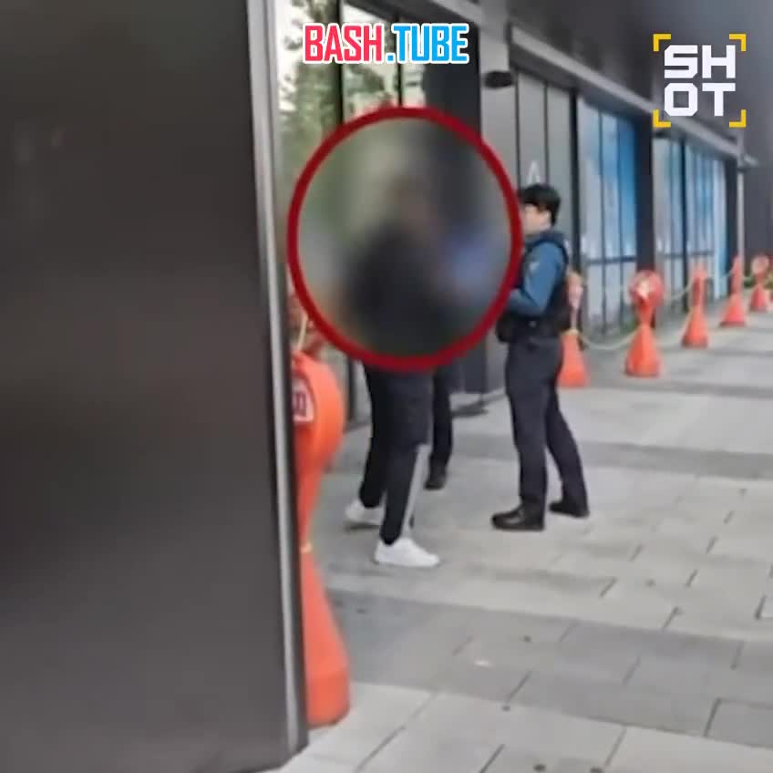  Пьяный россиянин с тесаком напал на полицейских в Корее