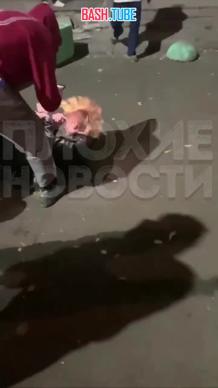  В Москве неизвестные толпой забили панка и забрали у него вейп