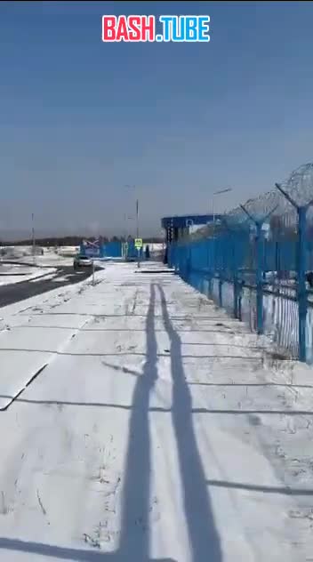  Медведь забрëл на закрытую территорию космодрома Восточный в Амурской области