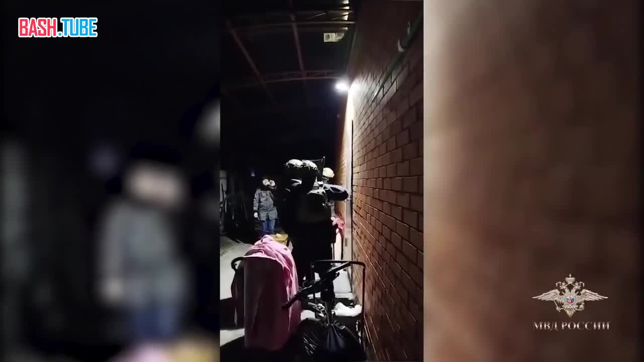  В Подмосковье задержали трёх разбойников, которые совершили дерзкое ограбление 57 миллионов рублей на глазах у хозяев дома