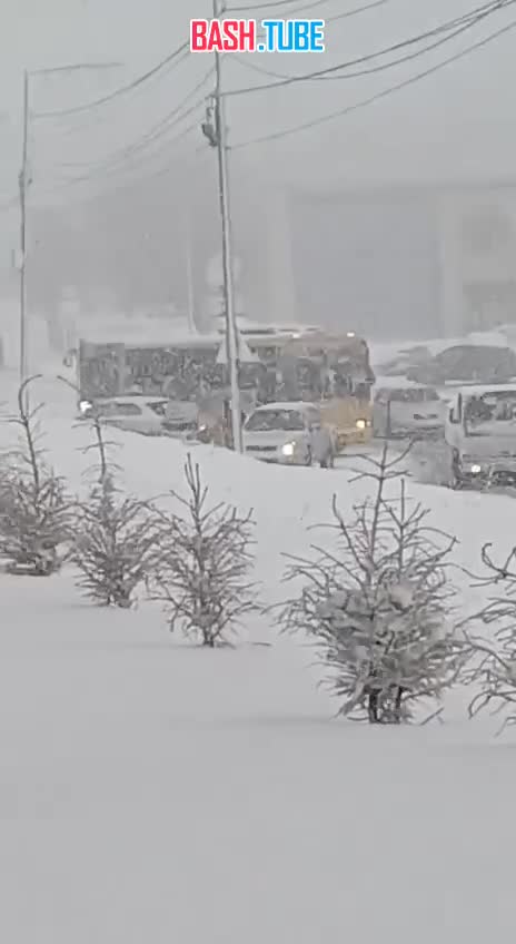  Полноценная зима добралась до Петропавловска-Камчатского