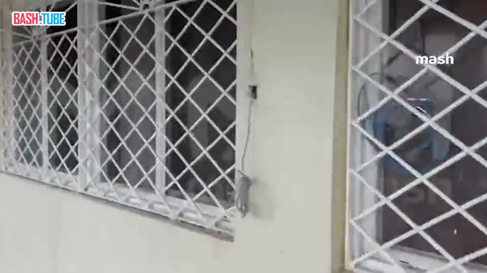  Видеопривет от русских с Ямайки