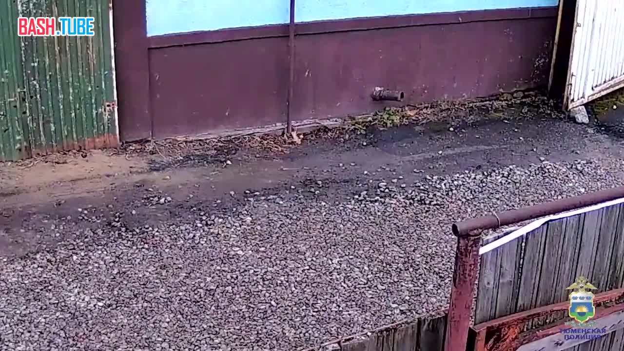  Бездомный украл крупную сумму денег и раздал более ₽200 тысяч друзьям в Тюмени