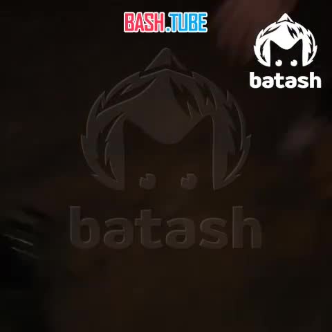  Соседская собака покусала второклассницу в Ишимбайском районе Башкирии