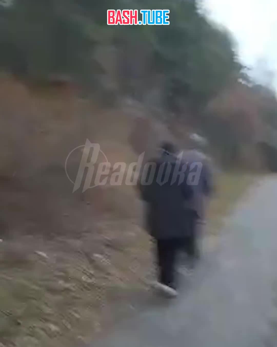  Школьницы ради видео напали на пенсионера в Свердловской области, сбив его с ног