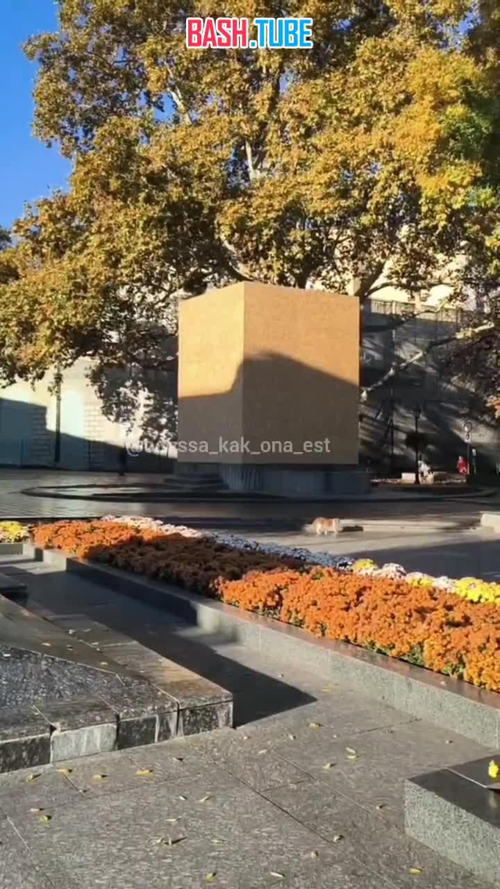  Памятник Пушкину в Одессе заколотили досками