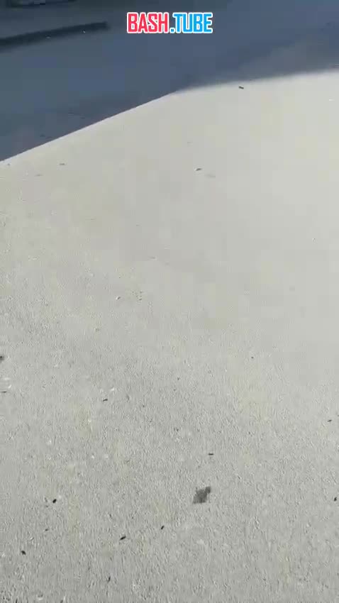  В Новосибирске 76-летняя пенсионерка перепутала педали и протаранила остановку с людьми