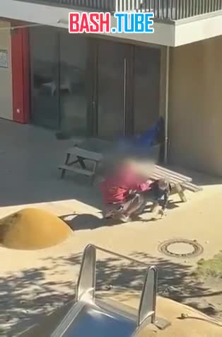  В центре внимания немецкого сегмента соцсетей видео из детского сада в Ганновере