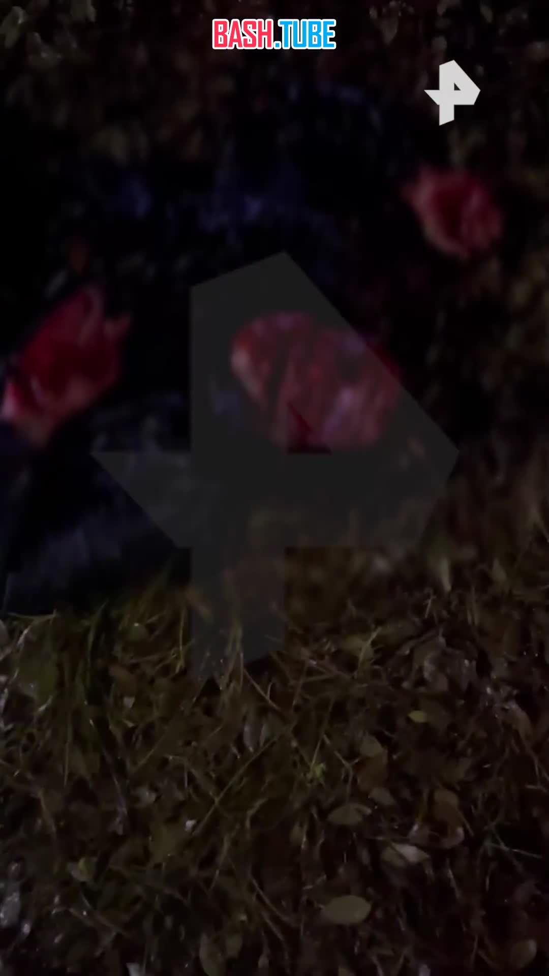  На два месяца арестовали мужчину, который напал с мачете на бывшую жену и её нового возлюбленного в Челябинске