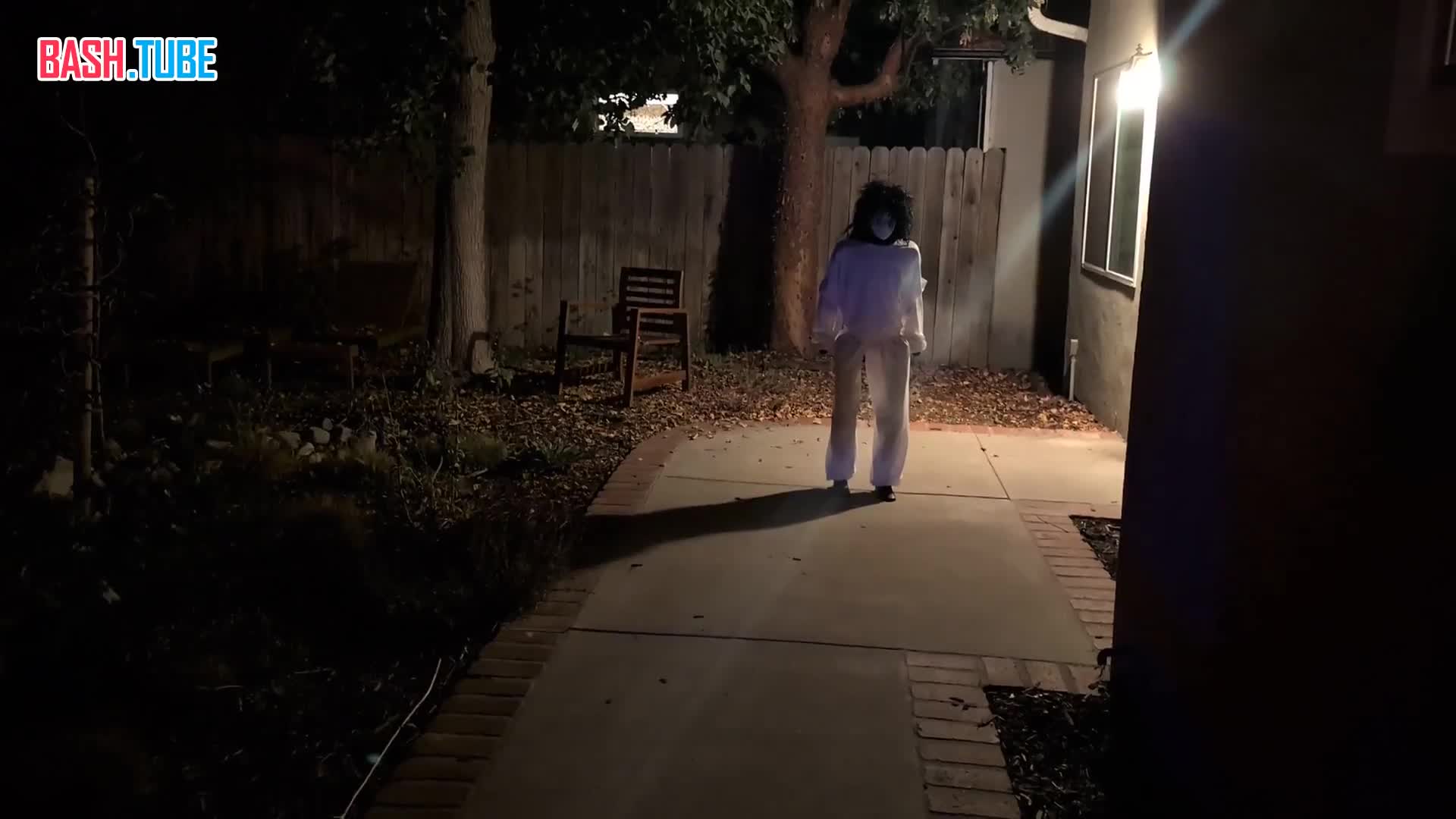  Американец научил робота Unitree резко падать на четвереньки и двигаться, как паук