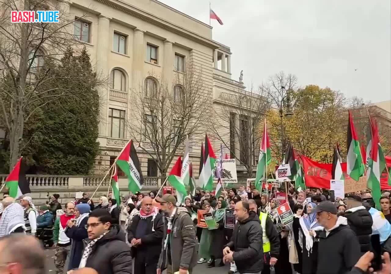  В центре Берлина проходит массовая демонстрация в поддержку Палестины