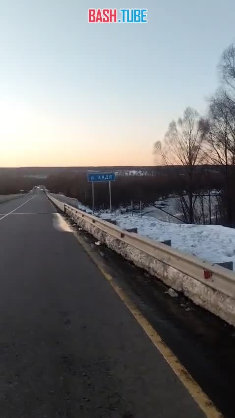  Рысь пробует первый лёд на реке Хадя в Хабаровском крае