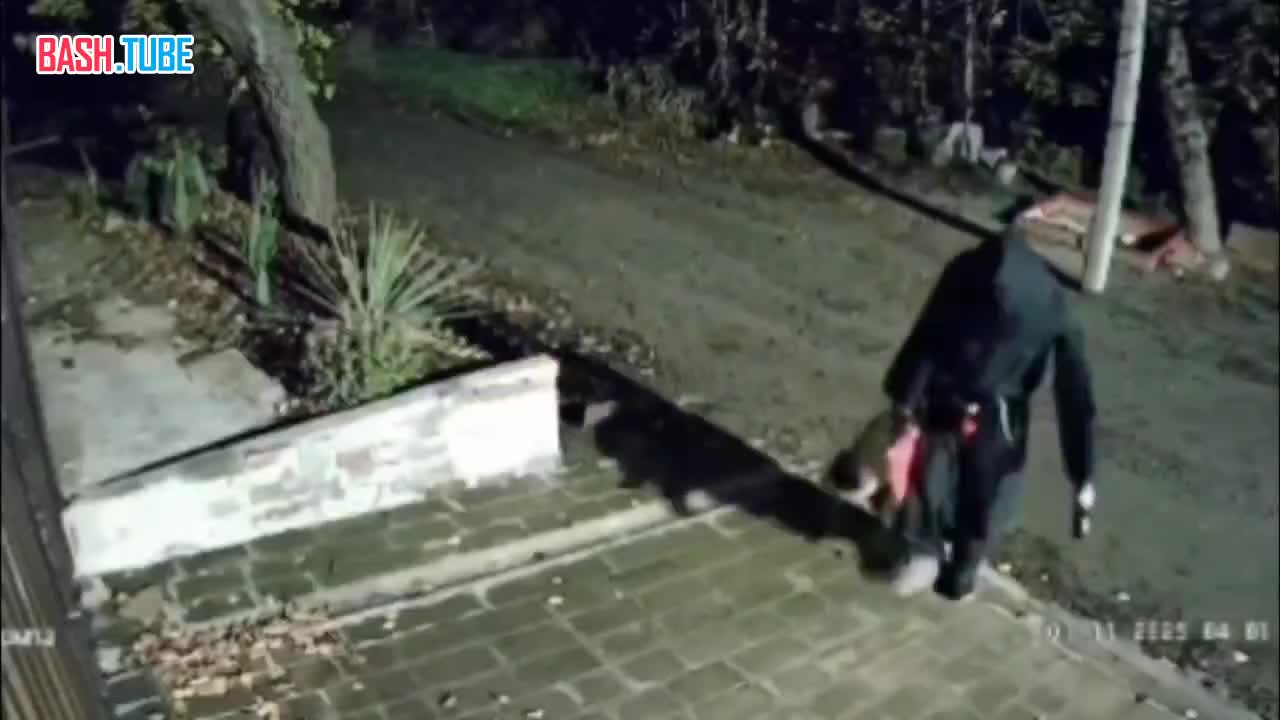  Жуткий кровавый обряд на смерть провёл сатанист*-таролог в Ростовской области