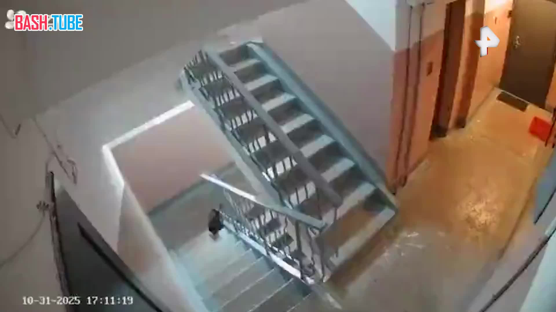  Мальчик избил кота в подъезде во Владивостоке - кадры издевательств опубликовали в соцсетях