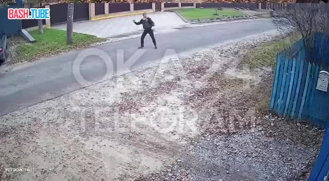  В Нижегородской области подросток метнул нож в домашнюю собаку