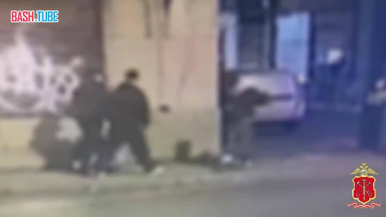  В Санкт-Петербурге задержали несовершеннолетнего за нанесение нацистского символа на стену одного из зданий в центре города