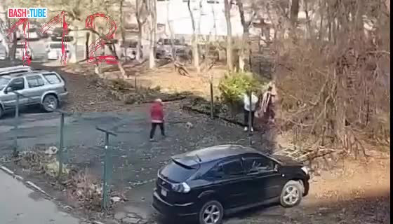  На Дальнем Востоке бояться нужно даже пенсионерок. Одна из них держит в страхе весь свой двор