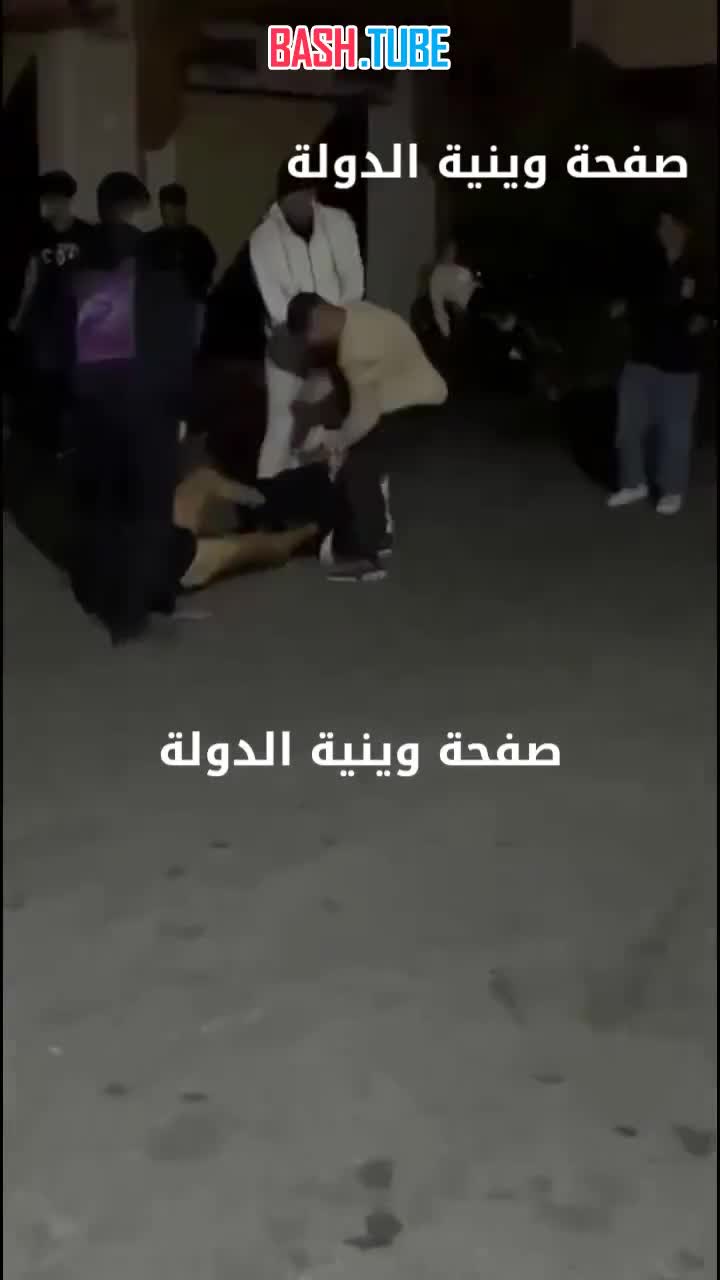  Мужчина решил подшутить над питбулем товарища и щёлкнул его по носу